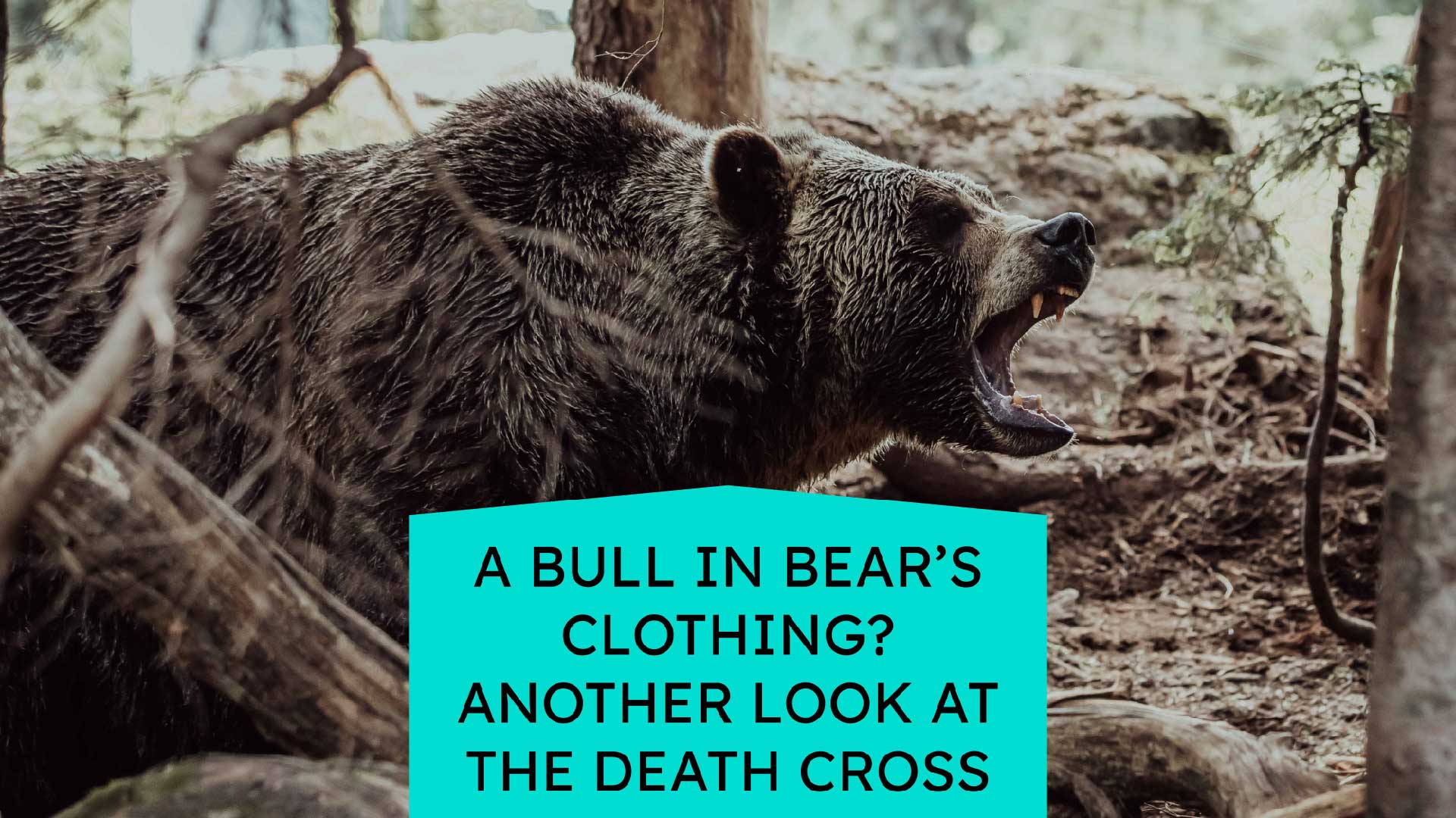 A Bull in Bear’s Clothing? Another Look at the Death Cross