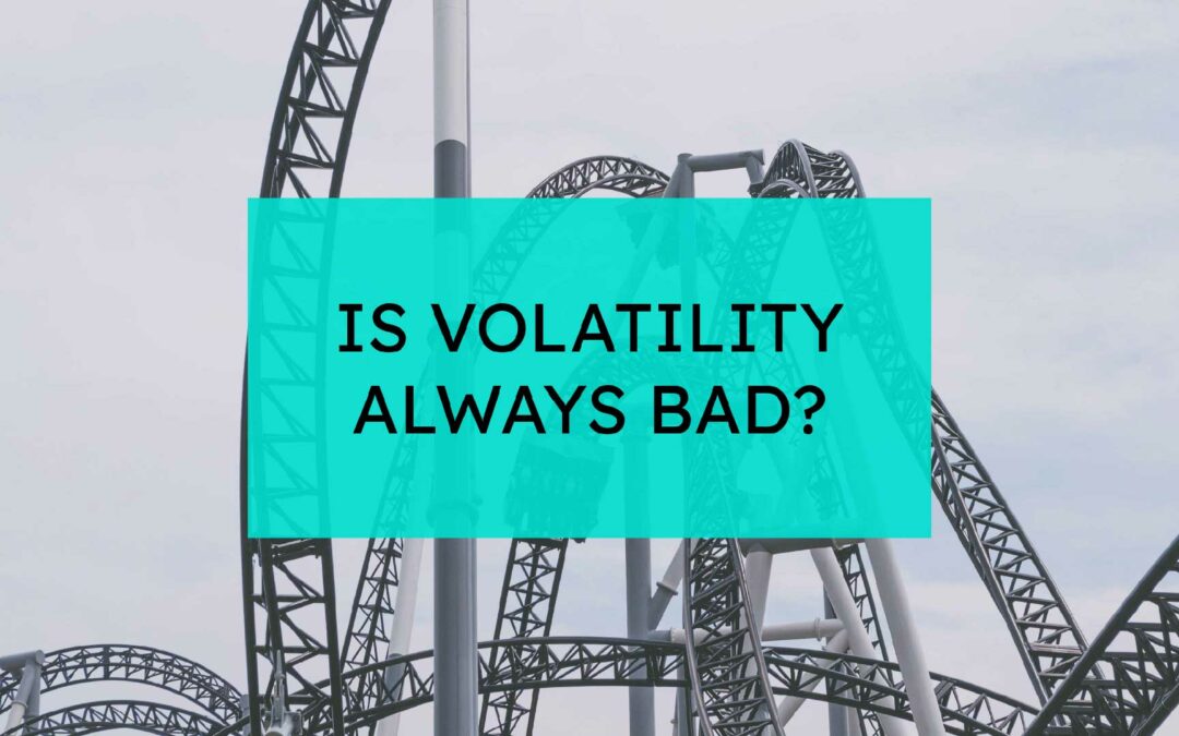 What Can Historical Volatility Teach Us?