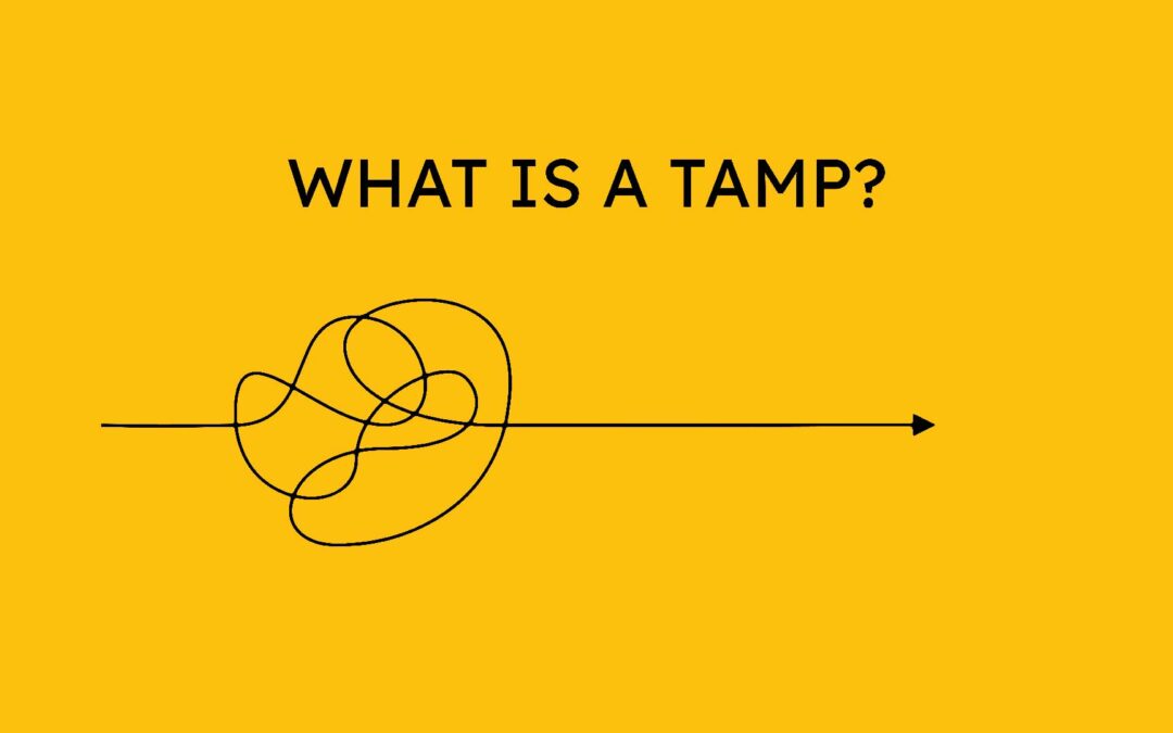 What Is a TAMP?