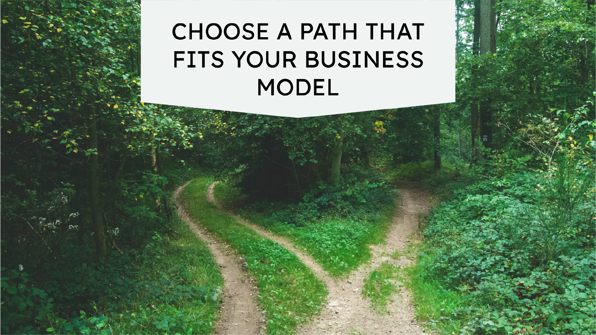 Choose a Path that Fits  Your Business Model