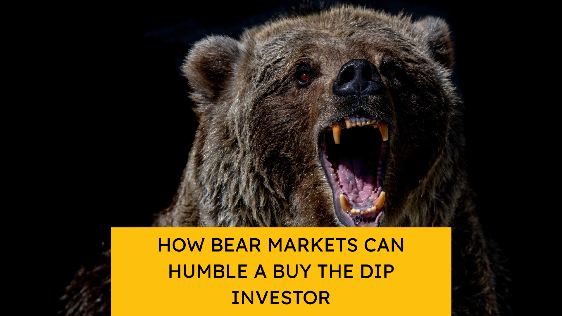 How Bear Markets Can Humble a Buy the Dip Investor